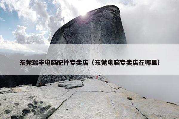 东莞瑞丰电脑配件专卖店（东莞电脑专卖店在哪里）