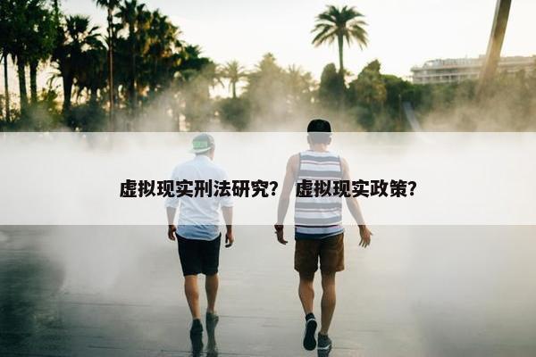 虚拟现实刑法研究？ 虚拟现实政策？