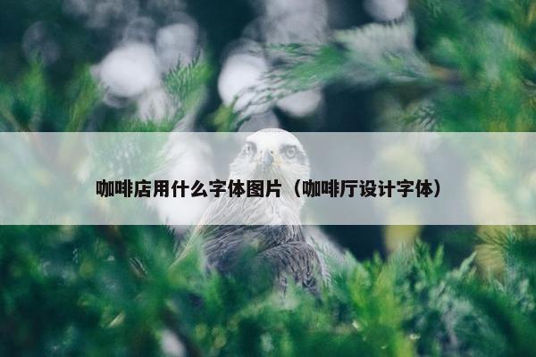 咖啡店用什么字体图片（咖啡厅设计字体）