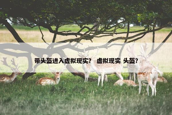 带头盔进入虚拟现实？ 虚拟现实 头盔？