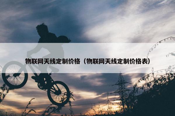 物联网天线定制价格（物联网天线定制价格表）