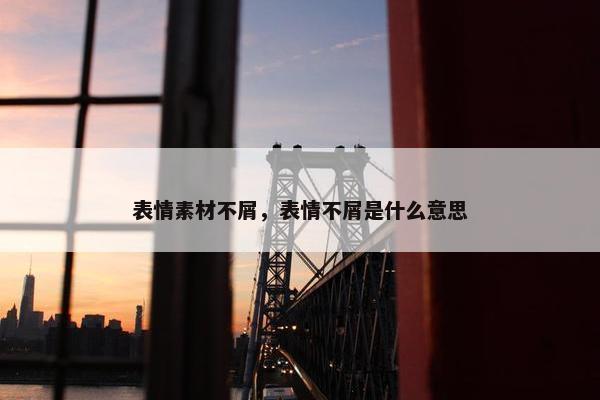 表情素材不屑，表情不屑是什么意思