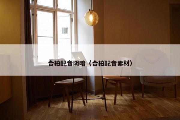 合拍配音阴暗（合拍配音素材）
