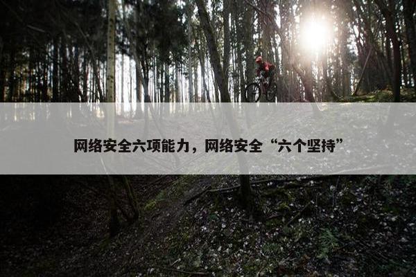 网络安全六项能力，网络安全“六个坚持”