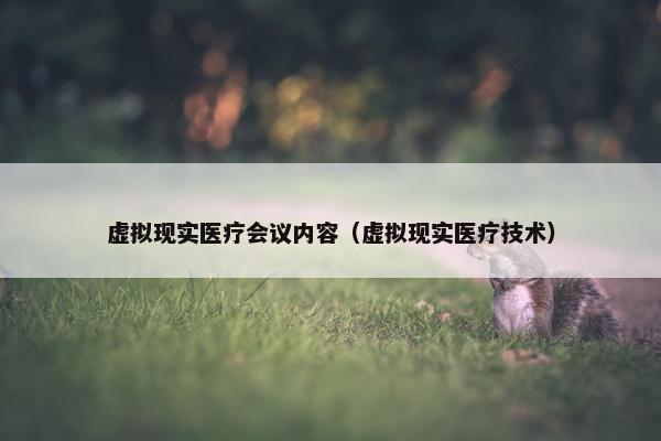 虚拟现实医疗会议内容（虚拟现实医疗技术）