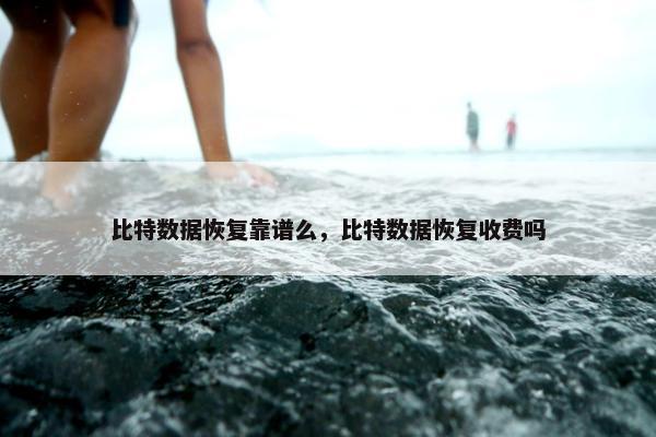 比特数据恢复靠谱么，比特数据恢复收费吗