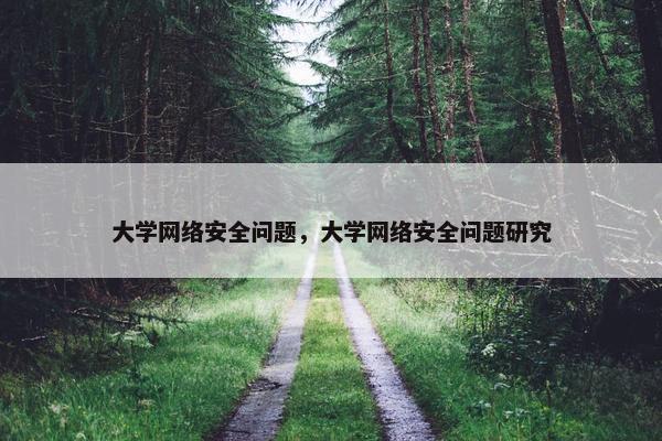大学网络安全问题，大学网络安全问题研究