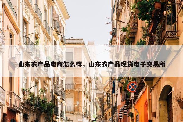 山东农产品电商怎么样，山东农产品现货电子交易所