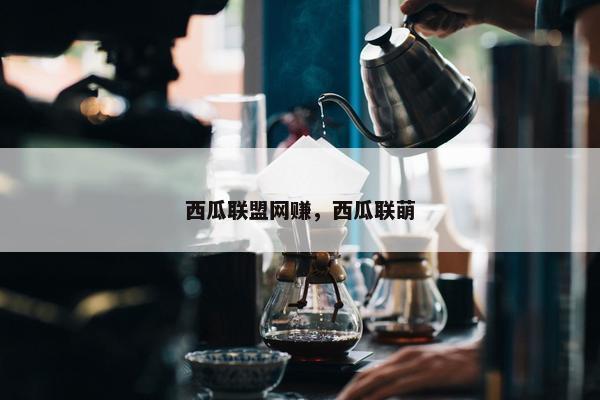 西瓜联盟网赚，西瓜联萌
