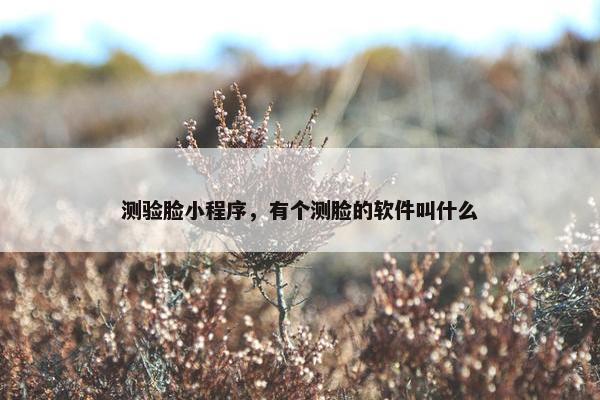 测验脸小程序，有个测脸的软件叫什么