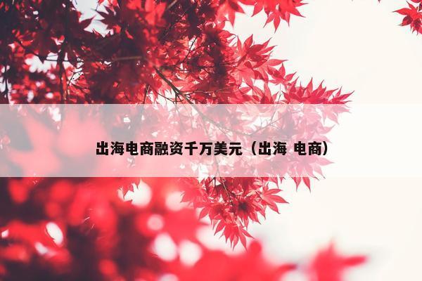 出海电商融资千万美元（出海 电商）