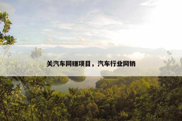 关汽车网赚项目，汽车行业网销