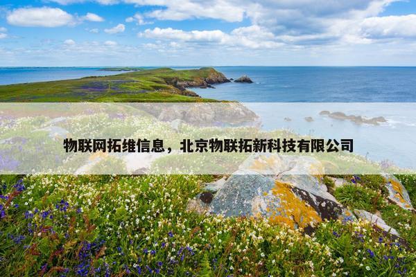 物联网拓维信息，北京物联拓新科技有限公司