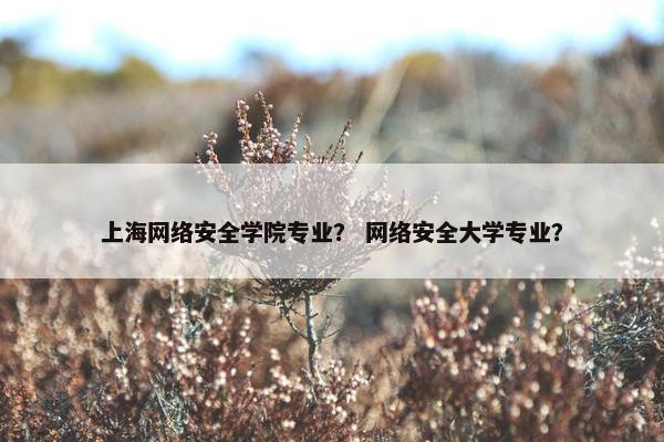 上海网络安全学院专业？ 网络安全大学专业？