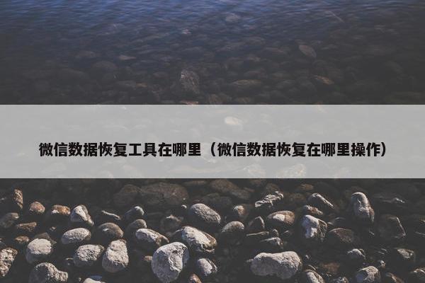 微信数据恢复工具在哪里（微信数据恢复在哪里操作）
