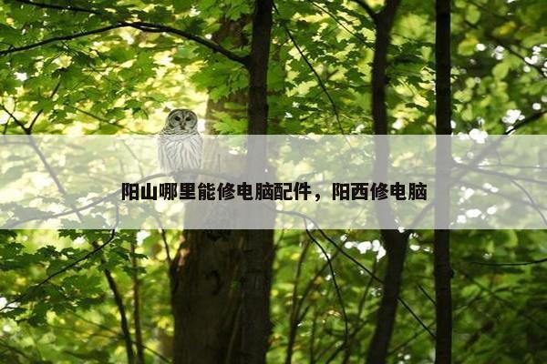 阳山哪里能修电脑配件，阳西修电脑