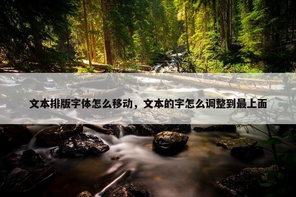 文本排版字体怎么移动，文本的字怎么调整到最上面