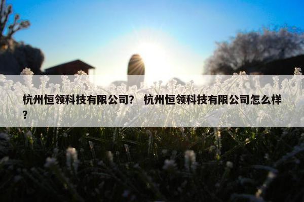 杭州恒领科技有限公司？ 杭州恒领科技有限公司怎么样？