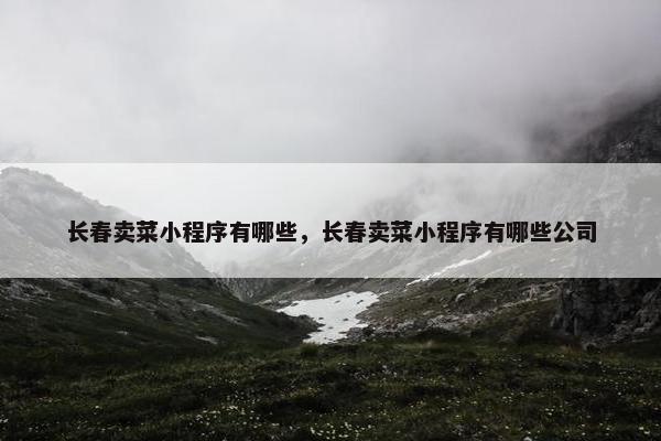 长春卖菜小程序有哪些，长春卖菜小程序有哪些公司