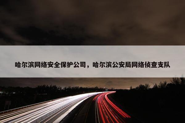 哈尔滨网络安全保护公司，哈尔滨公安局网络侦查支队