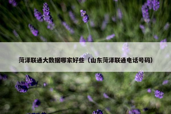 菏泽联通大数据哪家好些（山东菏泽联通电话号码）