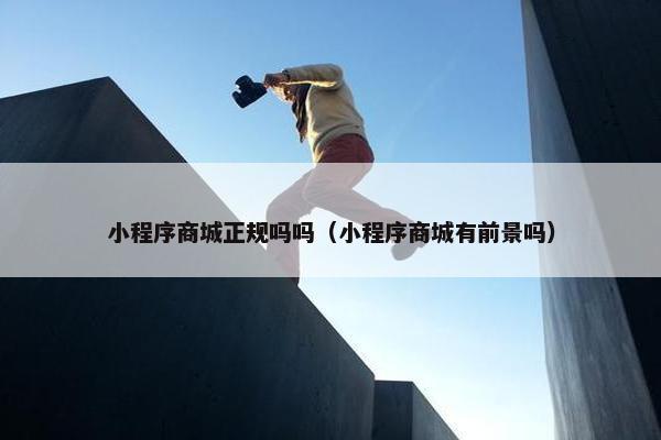小程序商城正规吗吗（小程序商城有前景吗）