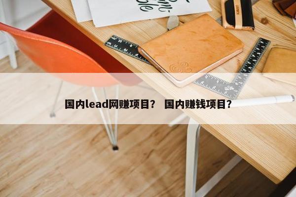 国内lead网赚项目？ 国内赚钱项目？