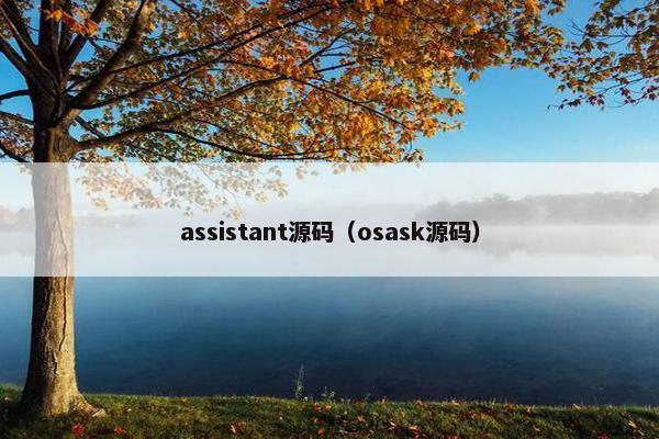 assistant源码（osask源码）