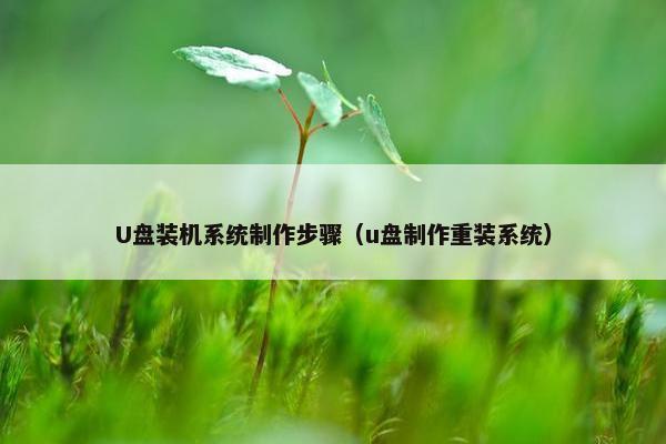 U盘装机系统制作步骤（u盘制作重装系统）