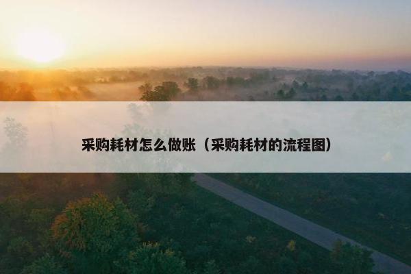 采购耗材怎么做账（采购耗材的流程图）
