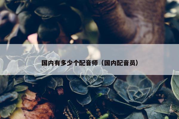 国内有多少个配音师（国内配音员）