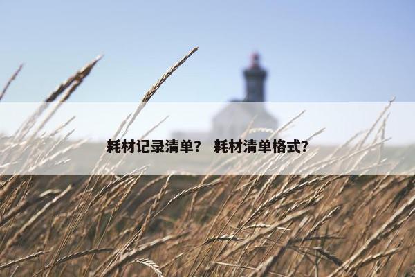 耗材记录清单？ 耗材清单格式？