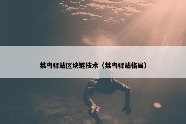 菜鸟驿站区块链技术（菜鸟驿站格局）
