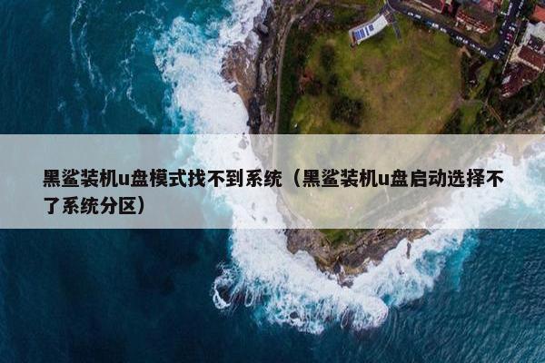 黑鲨装机u盘模式找不到系统（黑鲨装机u盘启动选择不了系统分区）