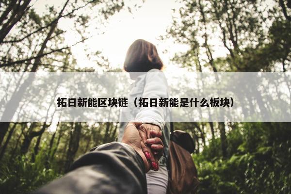 拓日新能区块链（拓日新能是什么板块）