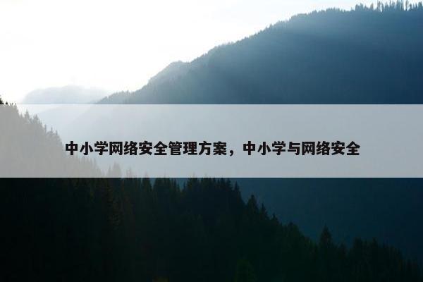 中小学网络安全管理方案，中小学与网络安全