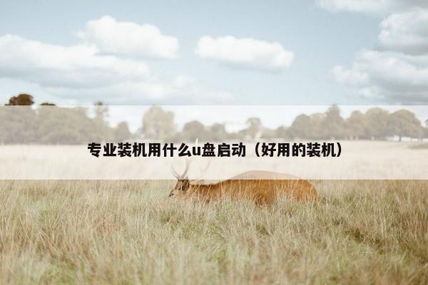 专业装机用什么u盘启动（好用的装机）