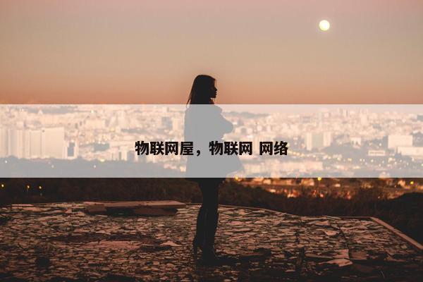 物联网屋，物联网 网络