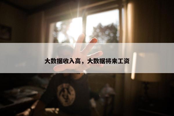 大数据收入高，大数据将来工资