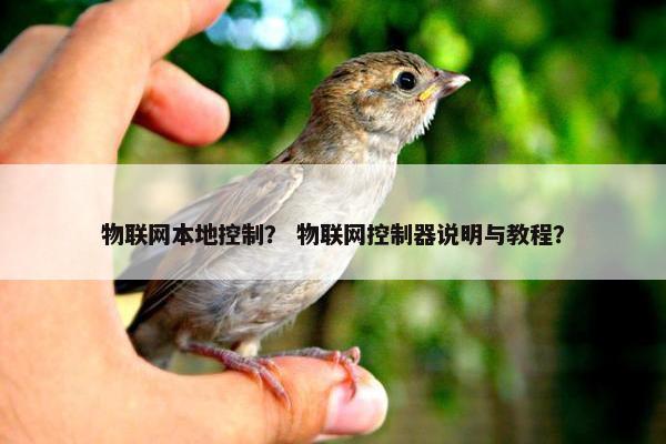 物联网本地控制？ 物联网控制器说明与教程？