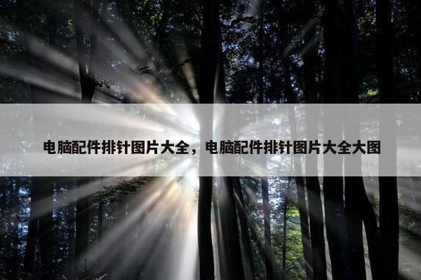 电脑配件排针图片大全，电脑配件排针图片大全大图