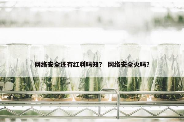 网络安全还有红利吗知？ 网络安全火吗？