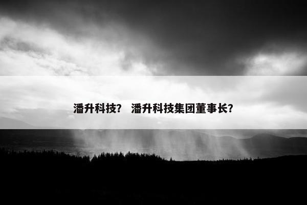 潘升科技？ 潘升科技集团董事长？