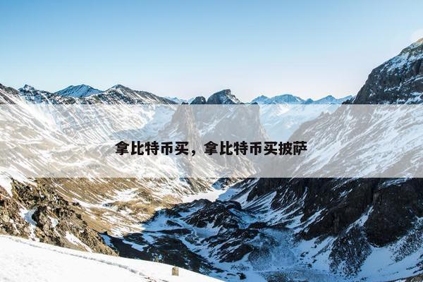 拿比特币买，拿比特币买披萨