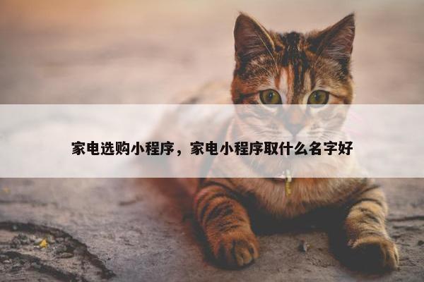 家电选购小程序，家电小程序取什么名字好