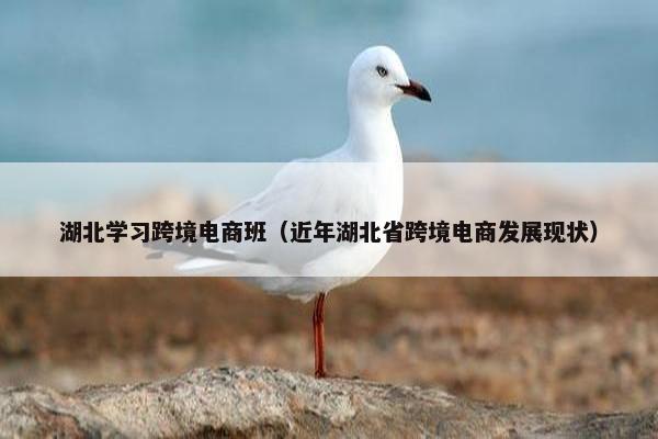 湖北学习跨境电商班（近年湖北省跨境电商发展现状）