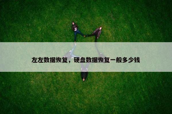 左左数据恢复，硬盘数据恢复一般多少钱