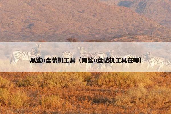 黑鲨u盘装机工具（黑鲨u盘装机工具在哪）