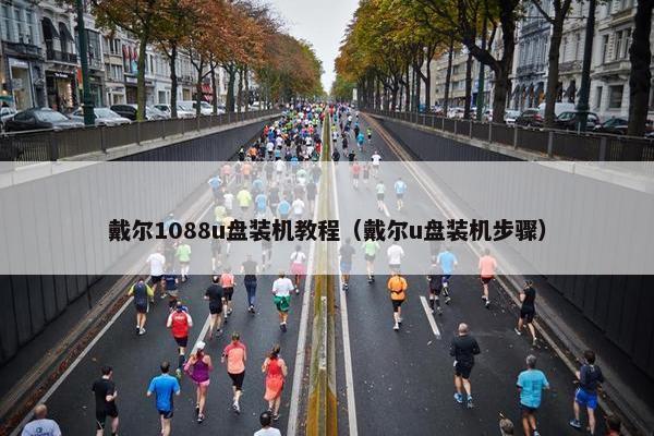 戴尔1088u盘装机教程（戴尔u盘装机步骤）