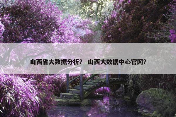 山西省大数据分析？ 山西大数据中心官网？